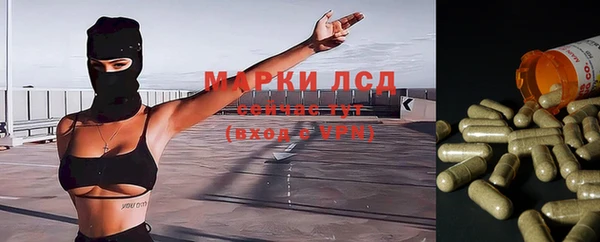 дмт Бугульма