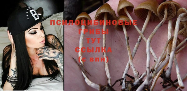 дмт Бугульма