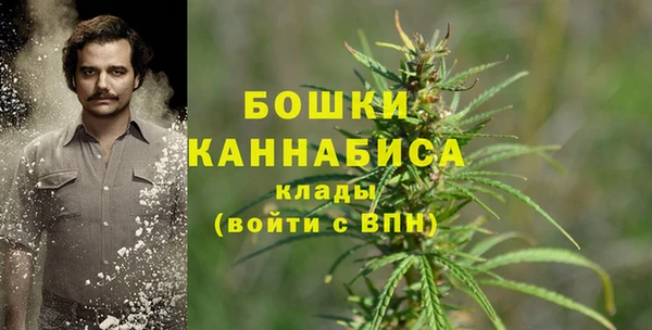 MESCALINE Бородино