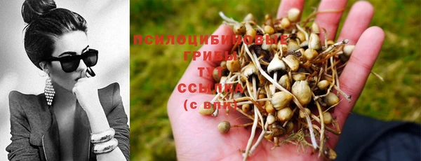 дмт Бугульма